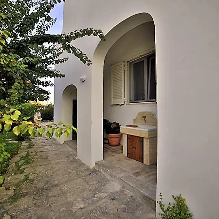 Musella