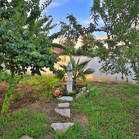 Bed & Breakfast Musella Porto Cesareo