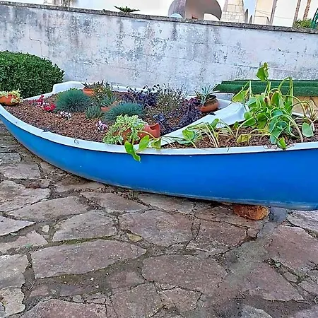 Musella 3*